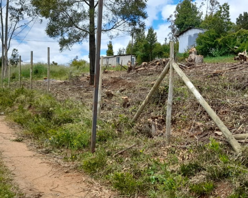 Parcela Tome Fundo El Edén